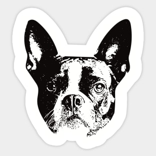 Boston gift for Boston Terrier Owners Sticker
